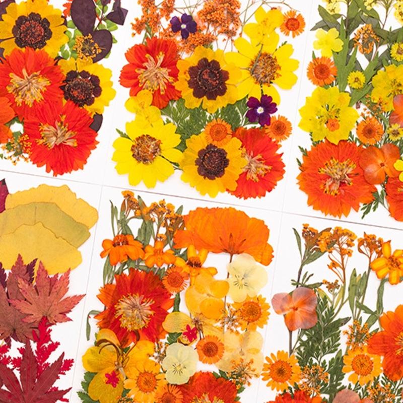 Art Craft Leaves - Natural Pressed Dried Flower For Resin