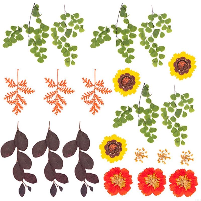 Natural Pressed Dried Flower F - огляд і ціна Art Craft Leaves