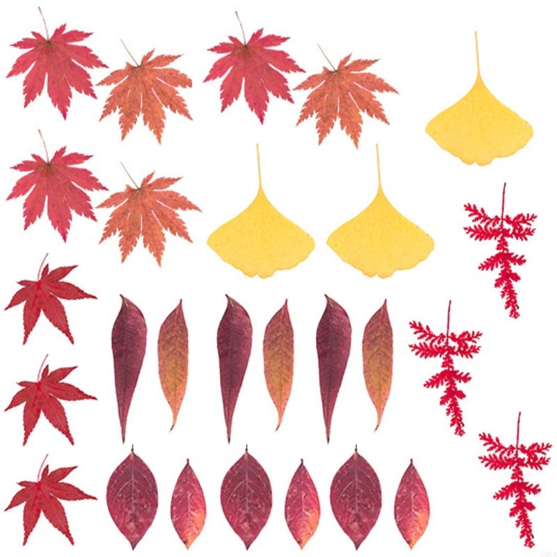 Natural Pressed Dried Flower F - огляд і ціна Art Craft Leaves