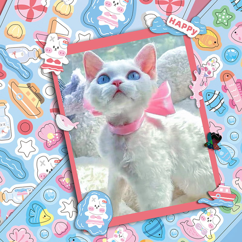 MOHAMM 12 Sheets Glitter Laser - огляд і ціна Art Craft 6 Year Old